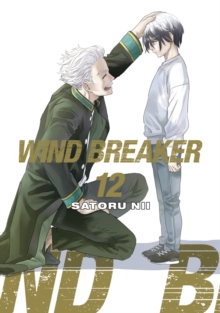 WIND BREAKER 11: Satoru Nii: 9781646519583: TGJones