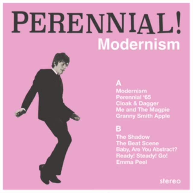 Safe Suburban Home Modernism