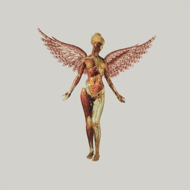 In Utero (Super Deluxe Edition): 0602455178213: TGJones
