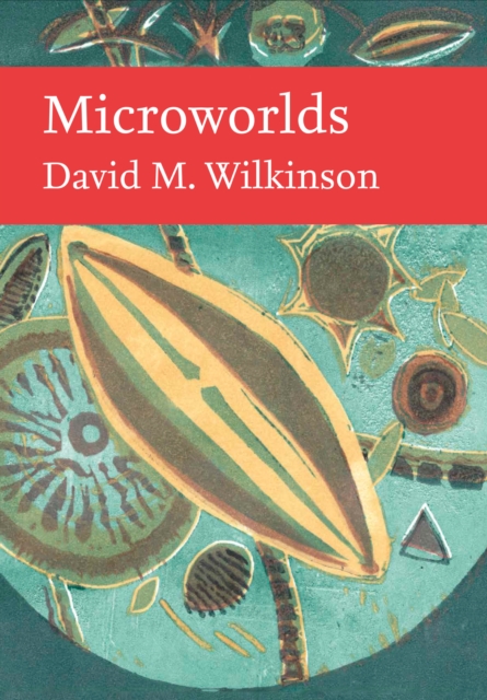 Microworlds
