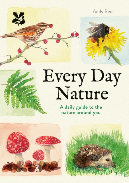 Every Day Nature
