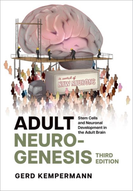 Adult Neurogenesis : Stem Cells and Neuronal Development in the Adult ...