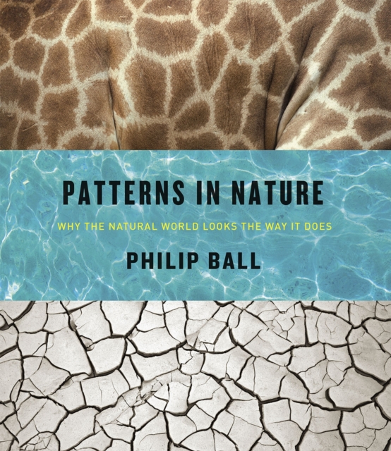 The University of Chicago Press Patterns In Nature : Why The Natural World Looks The Way It Does