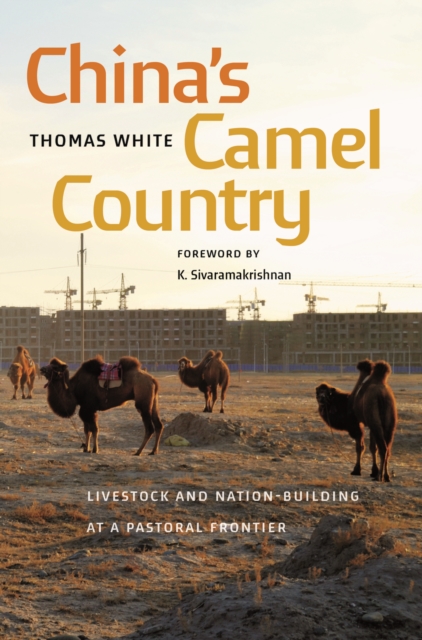 China's Camel Country : Livestock and Nation-Building at a Pastoral Frontier