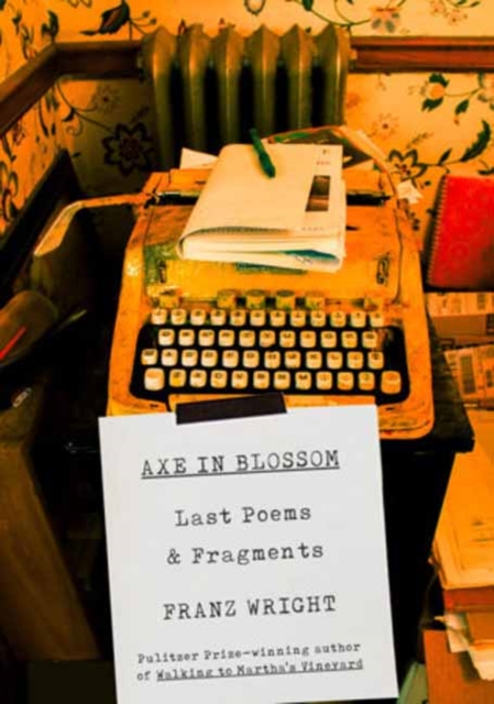Axe in Blossom : Last Poems & Fragments