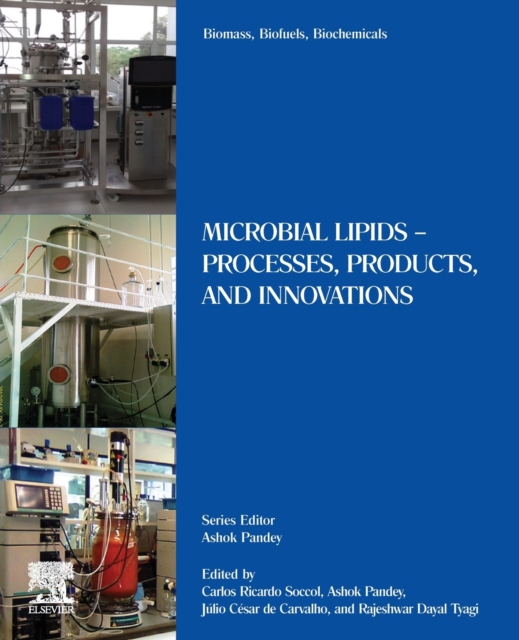 Biomass, Biofuels, Biochemicals : Microbial Lipids Processes, Products ...