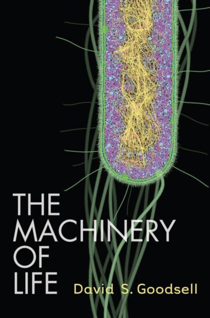 Springer-Verlag New York Inc. The Machinery Of Life