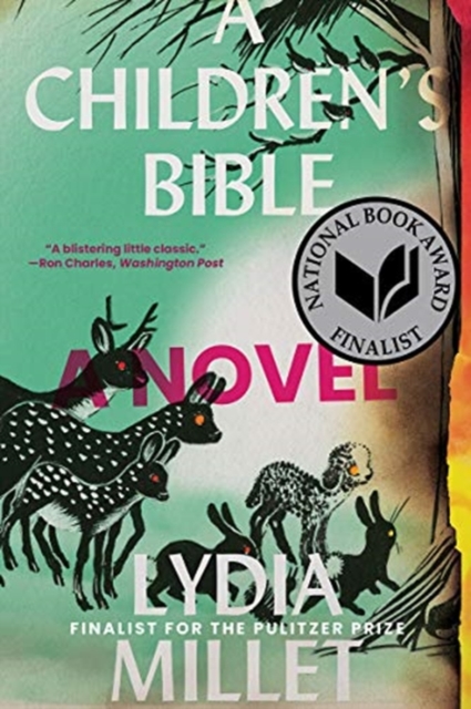 WW Norton & Co A Children'S Bible : A Novel