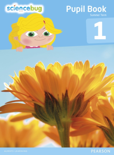 Science Bug Pupil Book Year 1: DEBBIE ECCLES: 9780435162689: TGJones
