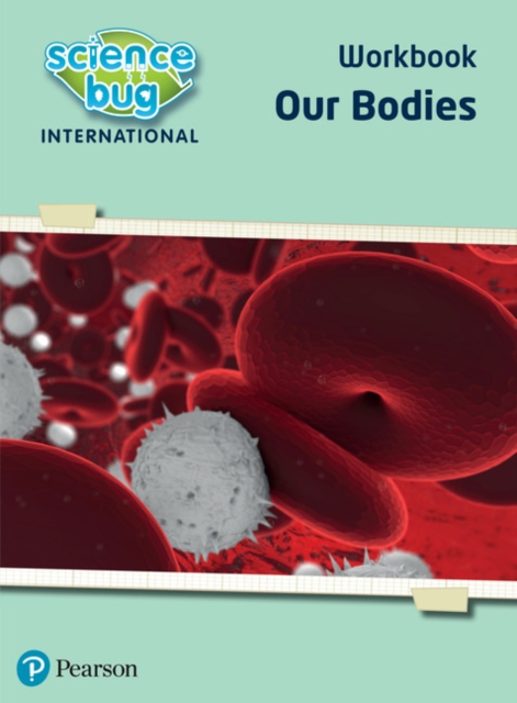 Science Bug: Our bodies Workbook: Deborah Herridge: 9780435196769: TGJones