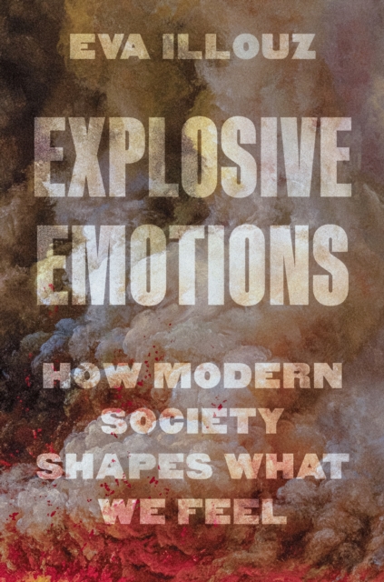 Princeton University Press Explosive Emotions : How Modern Society Shapes What We Feel