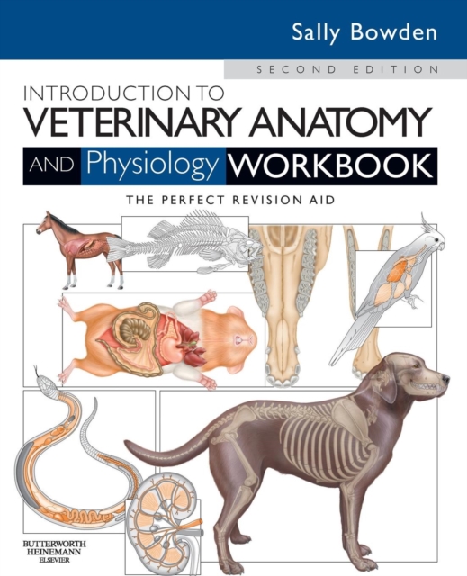 Elsevier Science & Technology Introduction To Veterinary Anatomy And Physiology Workbook