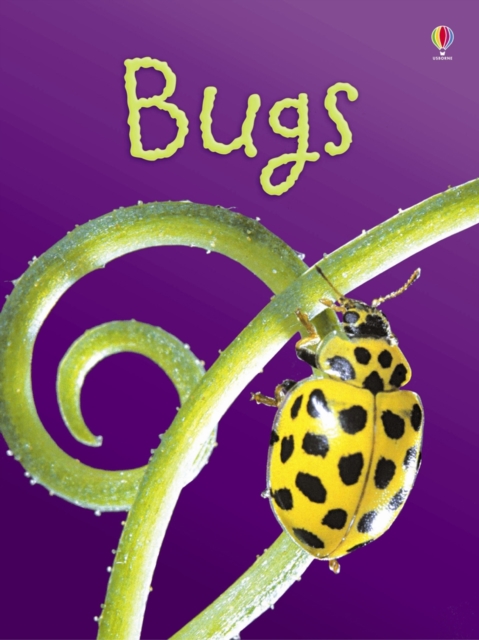 Usborne Publishing Ltd Bugs