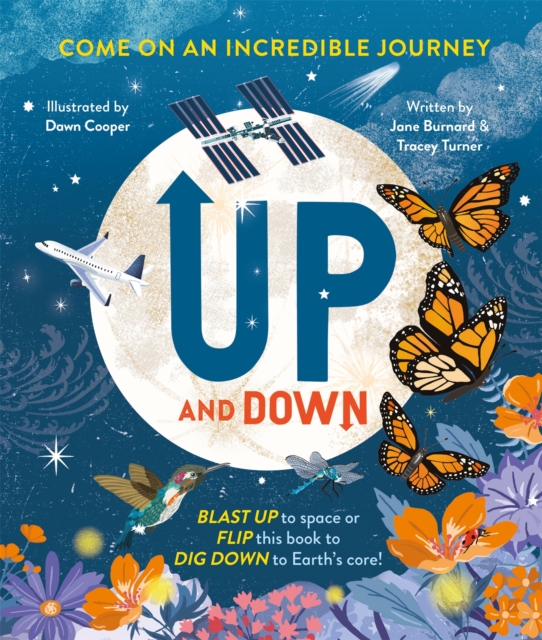 Pan Macmillan Up And Down : Come On An Incredible Journey