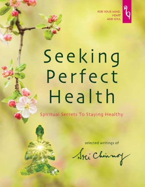 Seeking Perfect Health : Spiritual Secrets to Staying Healthy