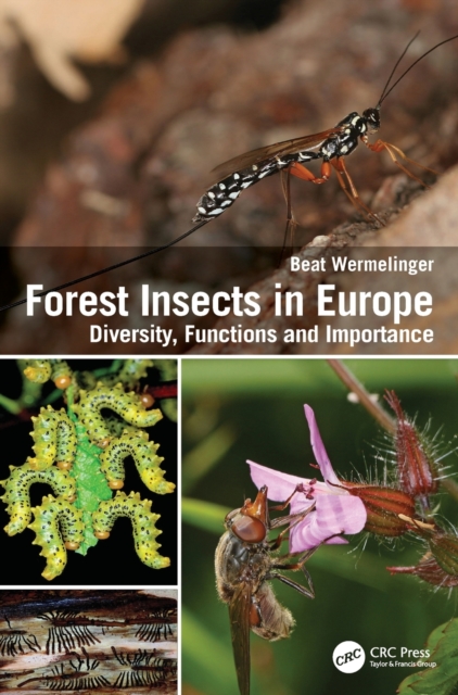 Fores Insect Forest Insects in Europe : Diversity, Functions and Importance: Beat ...