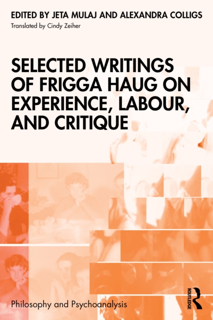 Selected Writings of Frigga Haug on Experience, Labour, and Critique
