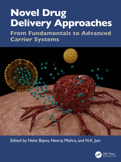 Novel Drug Delivery Approaches : From Fundamentals to Advanced Carrier ...