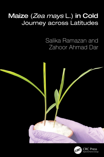 Maize (Zea mays L.) in Cold : Journey across Latitudes