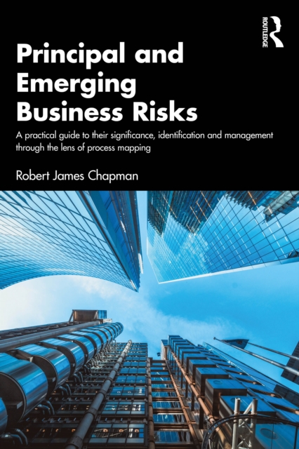 Principal and Emerging Business Risks : A practical guide to their ...