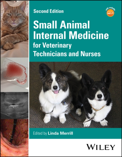 Small Animal Internal Medicine 1〜6号 裁断済み 【公式通販】