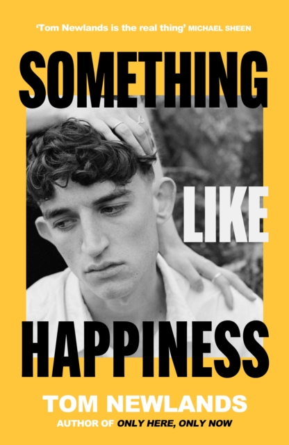 Orion Publishing Co Something Like Happiness