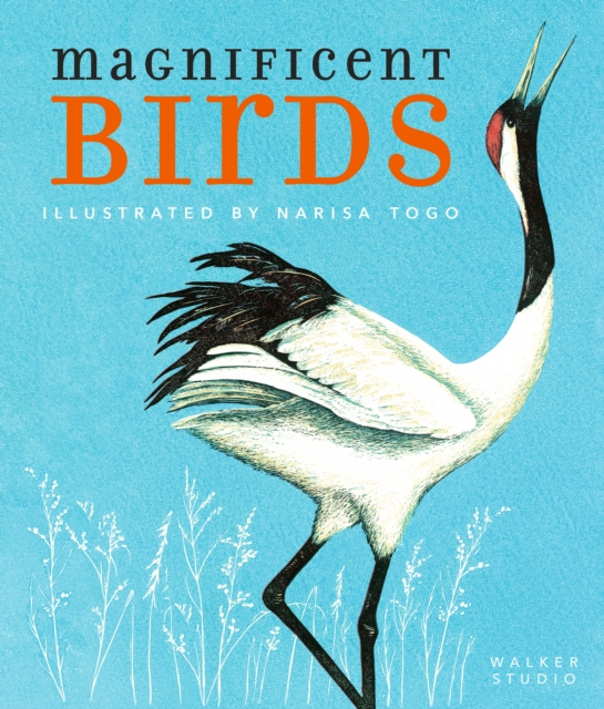 Walker Books Ltd Magnificent Birds