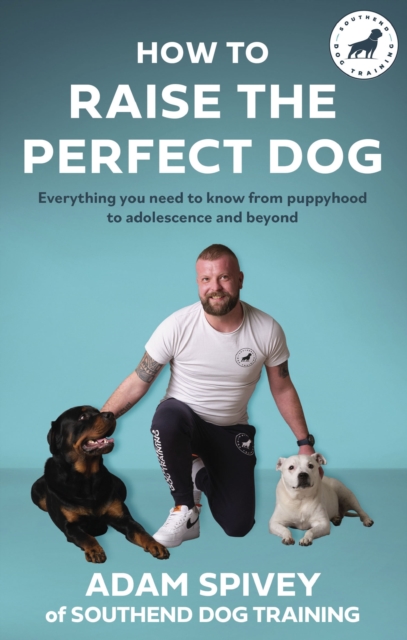 How to Raise the Perfect Dog Everything you need to know from