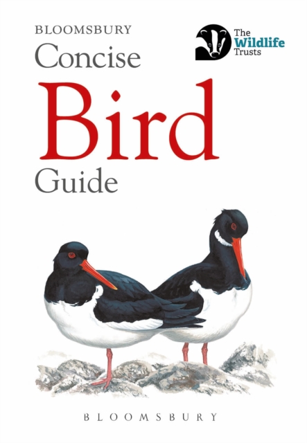 Bloomsbury Publishing Plc Concise Bird Guide