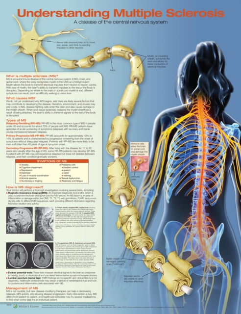 Understanding Multiple Sclerosis Anatomical Chart: : 9781496394989: TGJones