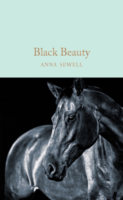 Pan Macmillan Black Beauty