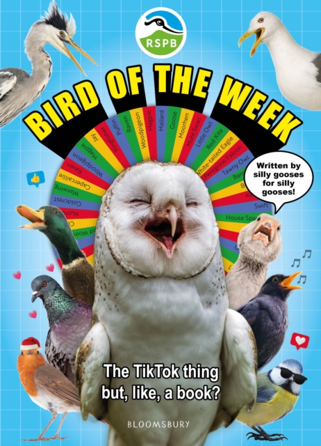 RSPB Bird of the Week : An utterly chaotic guide to 52 totally chaotic ...