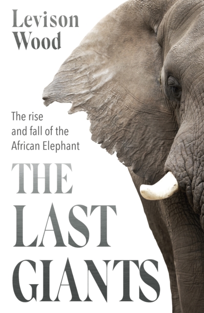 Hodder & Stoughton The Last Giants : The Rise And Fall Of The African Elephant
