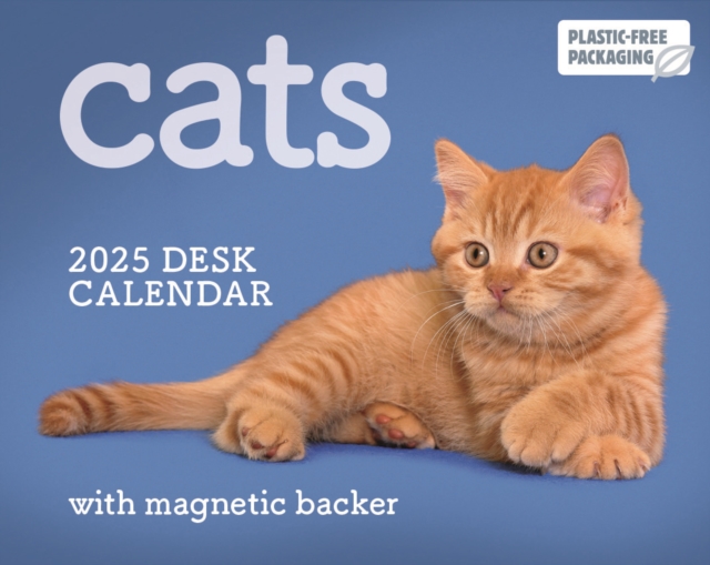 Cats Mini Box Calendar 2025 9781529844429 WHSmith