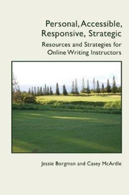 Softback Strategy Guide Personal, Accessible, Responsive, Strategic : Resources and Strategies ...