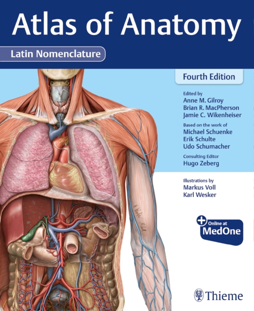 Atlas of Anatomy, Latin Nomenclature: Anne M Gilroy: 9781684204519
