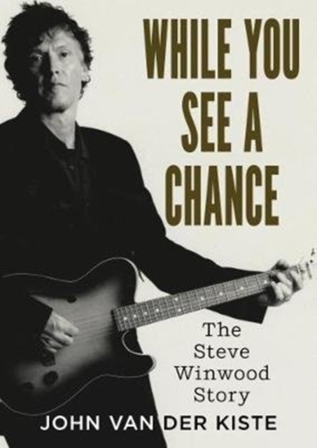 Fonthill Media Ltd While You See A Chance : The Steve Winwood Story