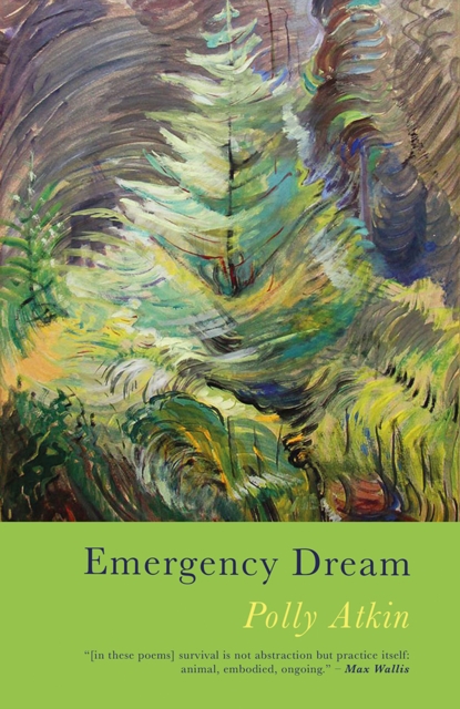 Poetry Wales Press Emergency Dream