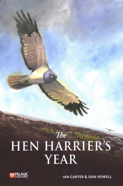 Pelagic Publishing The Hen Harrier'S Year