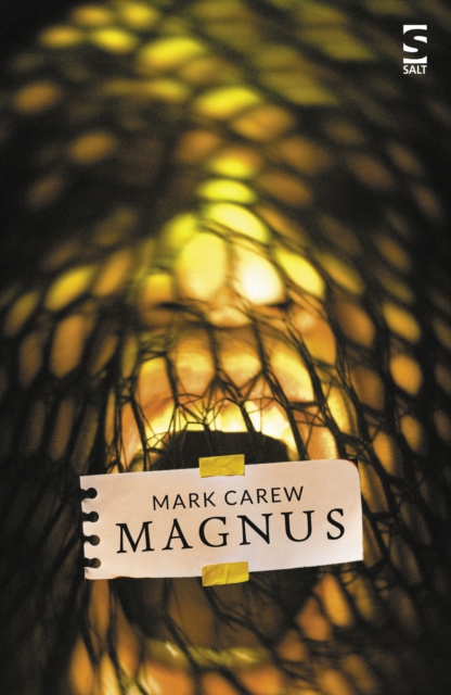 Salt Publishing Magnus