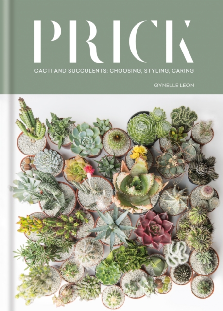 Octopus Publishing Group Prick : Cacti And Succulents: Choosing, Styling, Caring