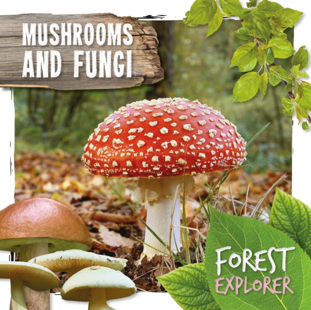 BookLife Publishing Mushrooms & Fungi
