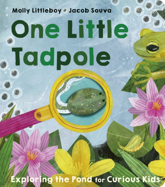 Little Tiger Press Group One Little Tadpole