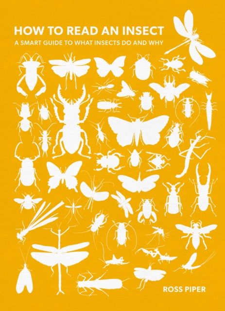 Knowing Insects How to Read an Insect : A Smart Guide to What Insects Do and Why: Dr ...