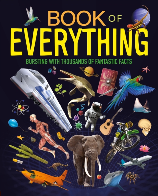 Igloo Books Book Of Everything