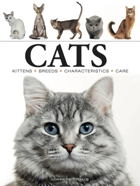 Amber Books Ltd Cats