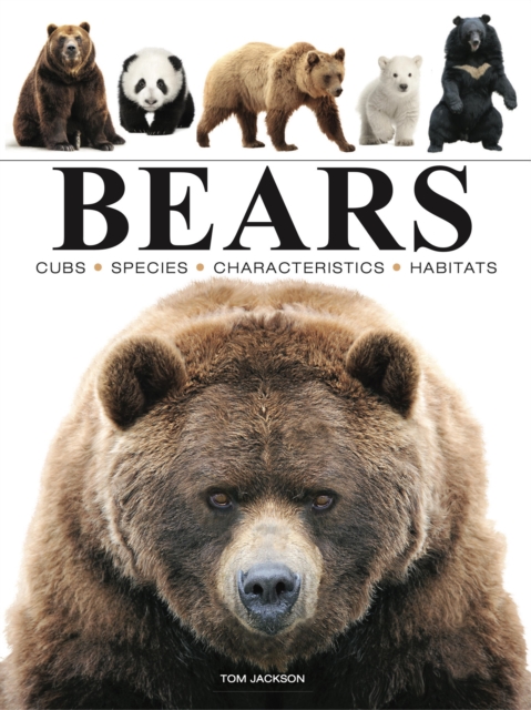 Amber Books Ltd Bears
