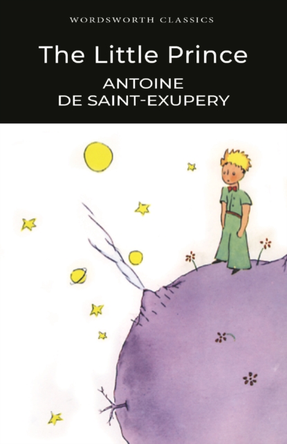 The Little Prince: Antoine de Saint-Exupery: 9781840227604: TGJones