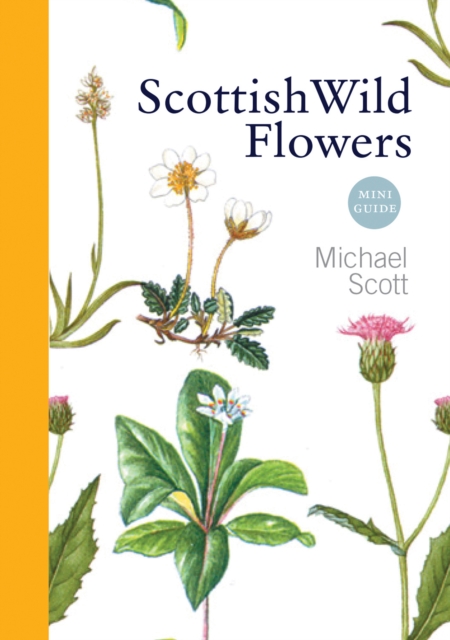 Birlinn General Scottish Wild Flowers : Mini Guide