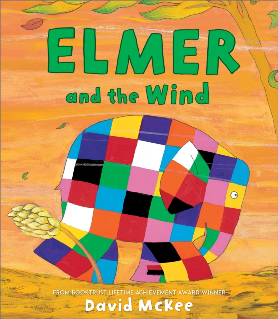 Andersen Press Ltd Elmer And The Wind